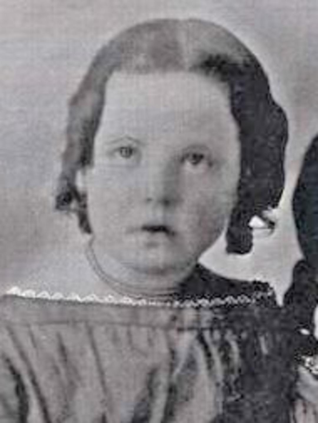 Sarah Elizabeth Denton (1854 - 1932) Profile